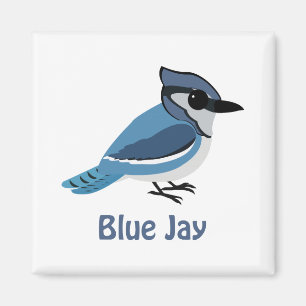 Cute Blue Jay Magneet
