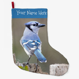 Cute Blue Jay Songbird on Tree Stump Grote Kerstsok