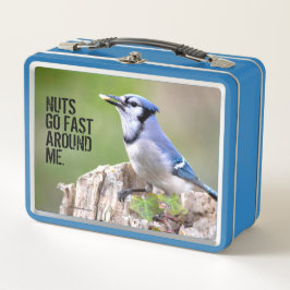 Cute Blue Jay Songbird on Treestump