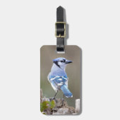 Cute Blue Jay Songbird on Treestump Bagagelabel (Voorkant verticaal)