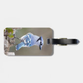 Cute Blue Jay Songbird on Treestump Bagagelabel (Achterkant horizontaal)