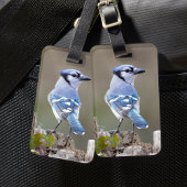 Cute Blue Jay Songbird on Treestump Bagagelabel
