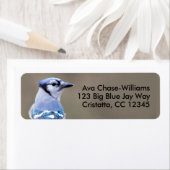 Cute Blue Jay Songbird on Treestump Etiket (Insitu)