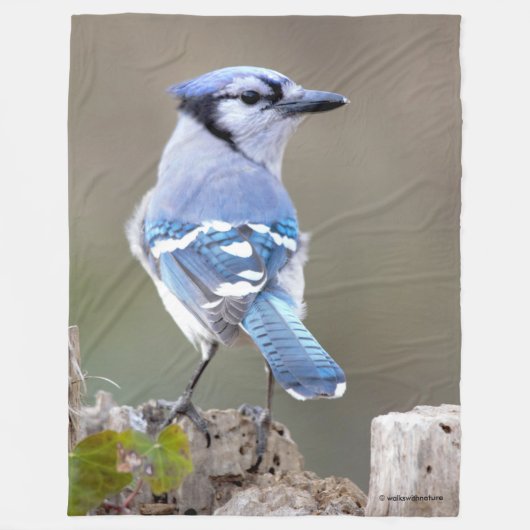 Cute Blue Jay Songbird on Treestump Fleece Deken (Voorkant)