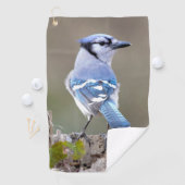Cute Blue Jay Songbird on Treestump Golfhanddoek (Insitu)