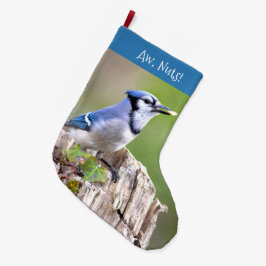 Cute Blue Jay Songbird on Treestump Grote Kerstsok