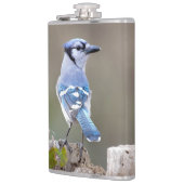 Cute Blue Jay Songbird on Treestump Heupfles (Links)