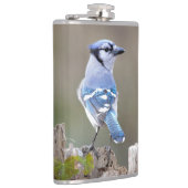 Cute Blue Jay Songbird on Treestump Heupfles (Rechts)