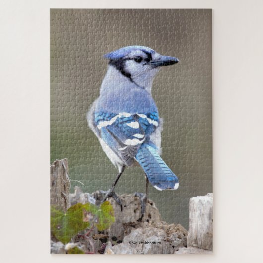 Cute Blue Jay Songbird on Treestump Jigzaag Puzzle Legpuzzel (Verticaal)