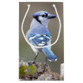 Cute Blue Jay Songbird on Treestump Klein Cadeauzakje (Achterkant)