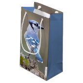 Cute Blue Jay Songbird on Treestump Klein Cadeauzakje (Achterkant Gekanteld)