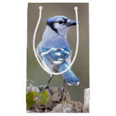 Cute Blue Jay Songbird on Treestump Klein Cadeauzakje (Voorkant)