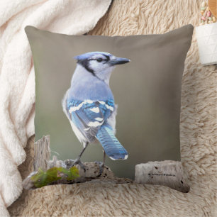 Cute Blue Jay Songbird on Treestump Kussen