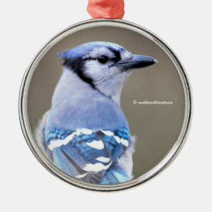 Cute Blue Jay Songbird on Treestump Metalen Ornament