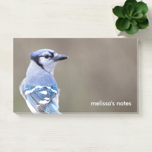 Cute Blue Jay Songbird on Treestump Post-it® Notes (Kantoor)