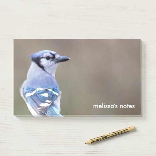 Cute Blue Jay Songbird on Treestump Post-it® Notes (Op bureau)