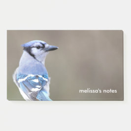 Cute Blue Jay Songbird on Treestump Post-it® Notes