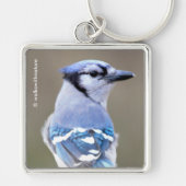 Cute Blue Jay Songbird on Treestump Sleutelhanger (Voorkant)