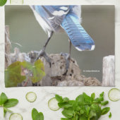 Cute Blue Jay Songbird on Treestump Theedoek (Gevouwen)