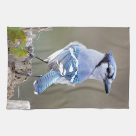 Cute Blue Jay Songbird on Treestump Theedoek