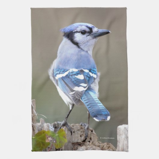 Cute Blue Jay Songbird on Treestump Theedoek (Verticaal)