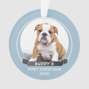 Cute Blue Puppy 1e kerstfoto Ornament