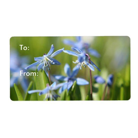 Cute Blue Scilla bloemen Etiket (Voorkant)
