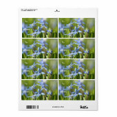 Cute Blue Scilla bloemen Etiket (Full Sheet)