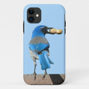 Cute Blue Scrub Jay Bird & Peanut Case-Mate iPhone Case