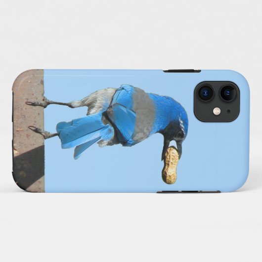 Cute Blue Scrub Jay Bird & Peanut Case-Mate iPhone Case (Achterkant (horizontaal))