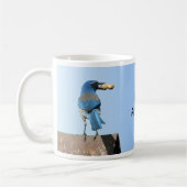 Cute Blue Scrub Jay Bird & Peanut Koffiemok (Links)