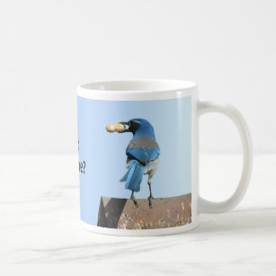 Cute Blue Scrub Jay Bird & Peanut Koffiemok