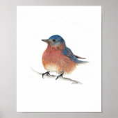 Cute Bluebird Waterverf Art Print (Voorkant)