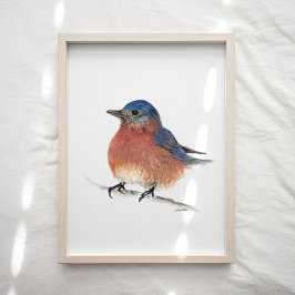 Cute Bluebird Waterverf Art Print