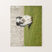 Cute Bobtail Sheepdog Legpuzzel (Verticaal)