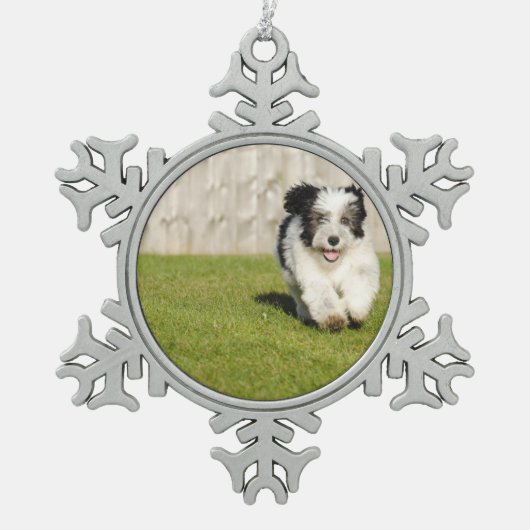 Cute Bobtail Sheepdog Tin Sneeuwvlok Ornament (Voorkant)