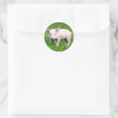 Cute Boerderij Living Barn Roze Piglet Ronde Sticker (Tas)