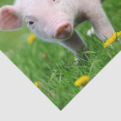 Cute Boerderij Living Barn Roze Piglet Tissuepapier (Detail)