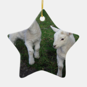 Cute Boerderij Ranch Baby Twins Sheep Lamb Keramisch Ornament
