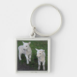 Cute Boerderij Ranch Baby Twins Sheep Lamb Sleutelhanger