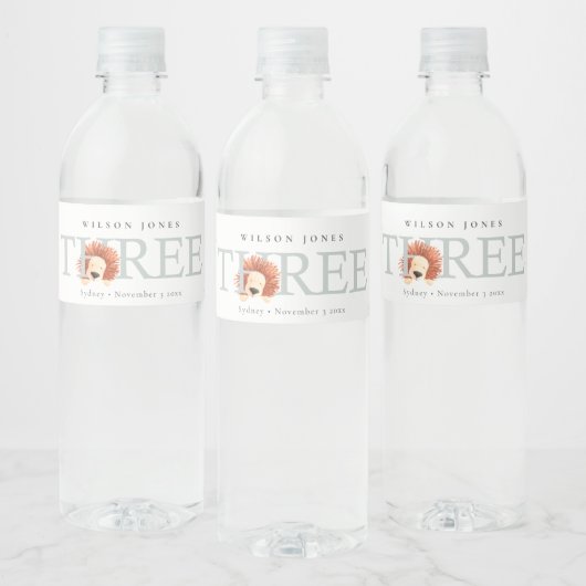 Cute Boho Lion Foliage 3rd Third Birthday Party Waterfles Etiket (Flessen)