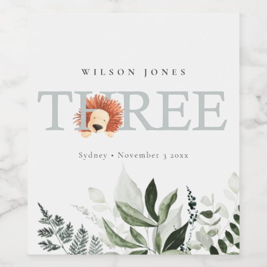 Cute Boho Lion Foliage 3rd Third Birthday Party Wijn Etiket (Enkel label)