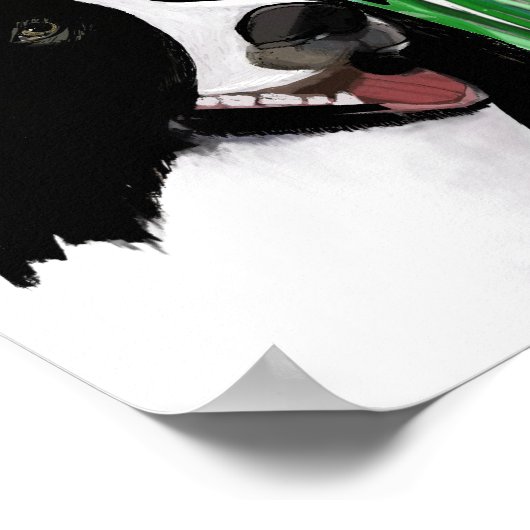 Cute, Border Collie Daisies Wall Art Poster (Hoek)