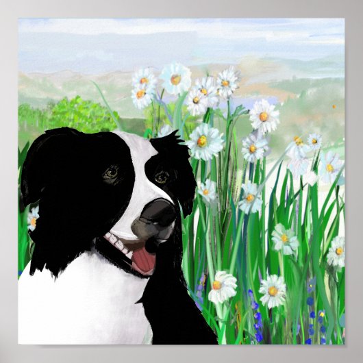 Cute, Border Collie Daisies Wall Art Poster (Voorkant)