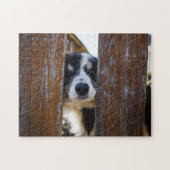 Cute Border Collie Dog Portret Legpuzzel (Horizontaal)