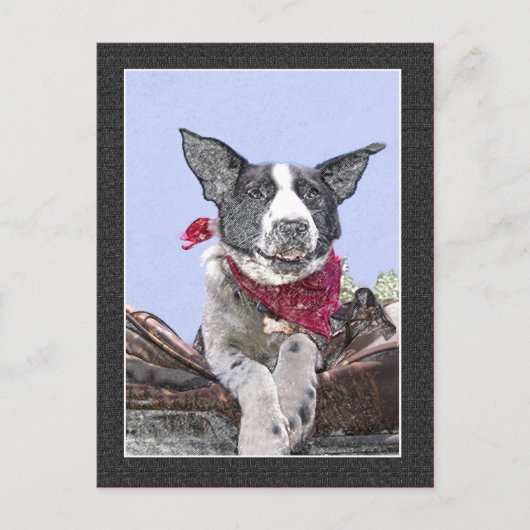 Cute Border Collie Heeler Mix Dog Sketch Art Hallo Briefkaart (Voorkant)