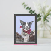 Cute Border Collie Heeler Mix Dog Sketch Art Hallo Briefkaart (Staand voorkant)