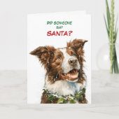 Cute Border Collie Looks for Santa Feestdagen Kaart (Voorkant)