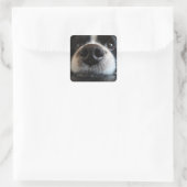 Cute Border Collie Nose Closeup Vierkante Sticker (Tas)
