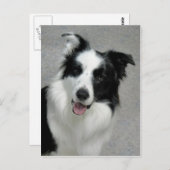 Cute Border Collie Photo Portrait Briefkaart (Voorkant / Achterkant)